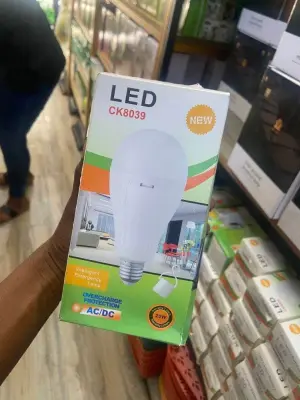 LED bulb AC/DC (with battery)